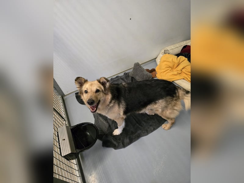 Seniorin Alicia will endlich ankommen