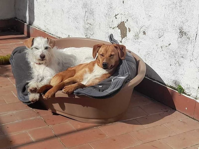 Elfi, jung und freundlich
