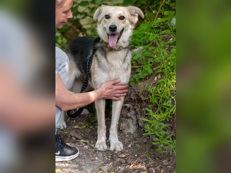 Rada - Supermaus sucht Familie (Ukraine)