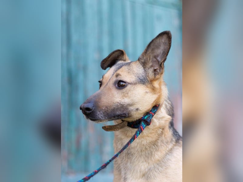 Dina - bereit für ein Leben ohne Angst (Ukraine)