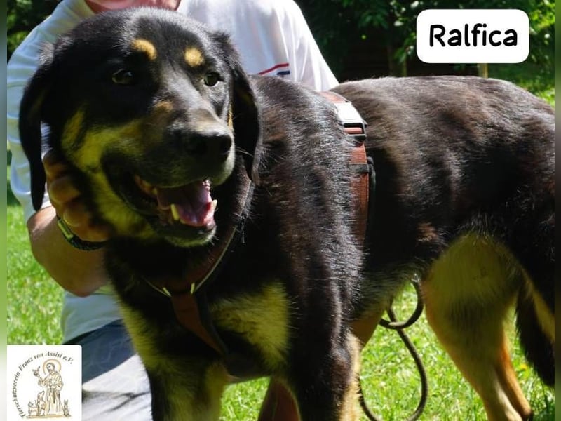 Ralfica – Nicht perfekt. Nicht außergewöhnlich. Aber genau RICHTIG!