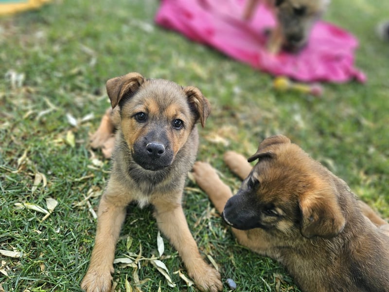 ARUBA ❤️ liebevolles Mädchen