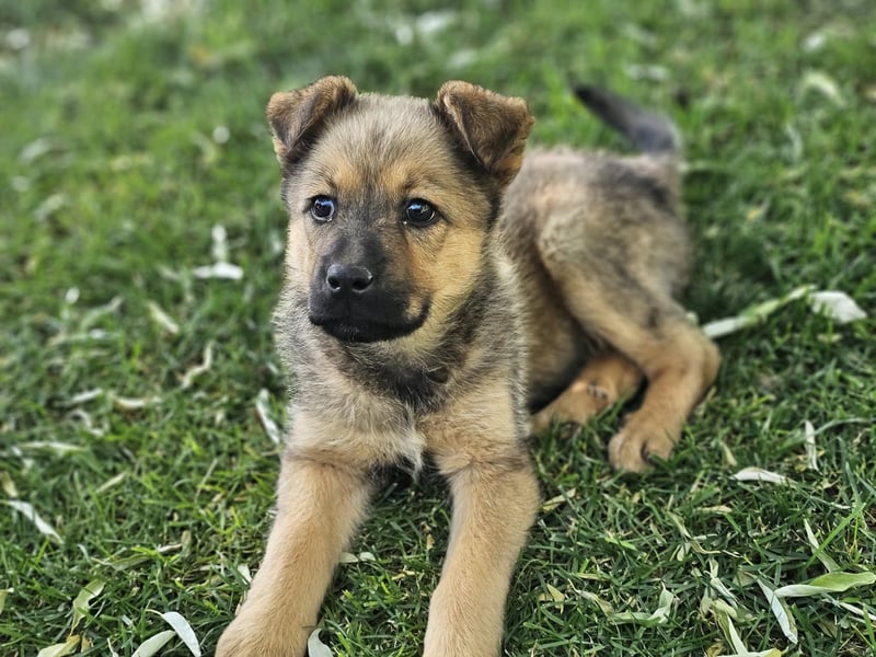ARUBA ❤️ liebevolles Mädchen