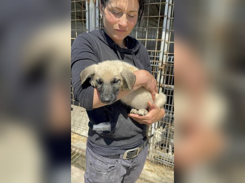 Storm auf der Suche nach ihrem Glück