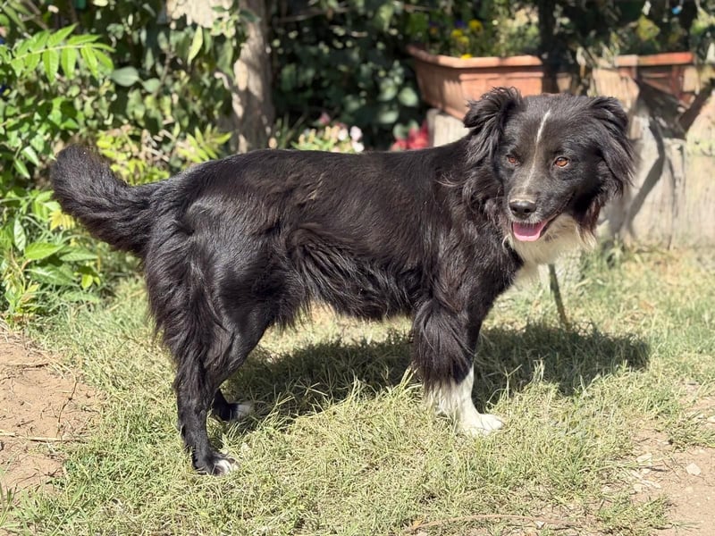 Luna - Sie braucht deine Liebe