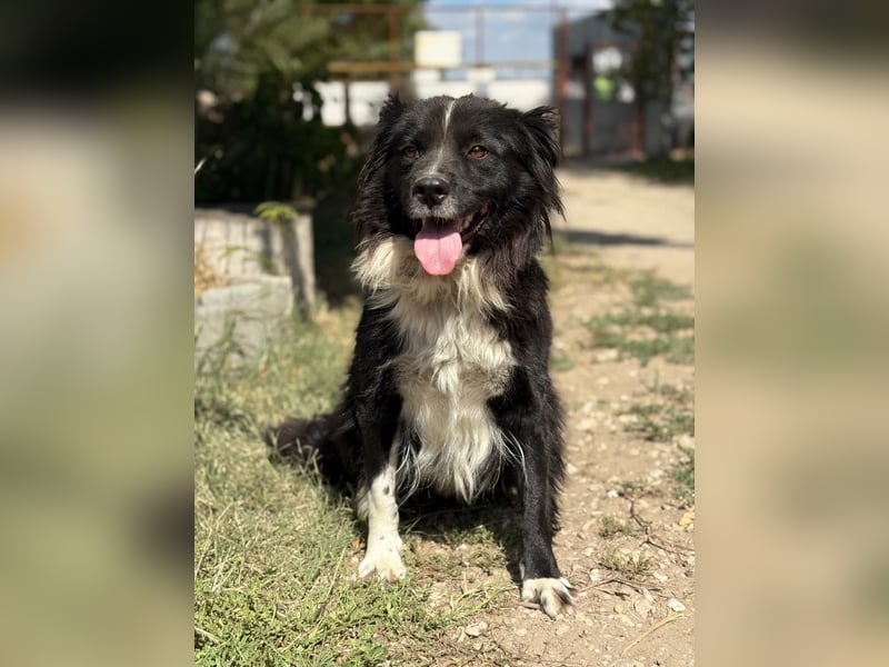 Luna - Sie braucht deine Liebe