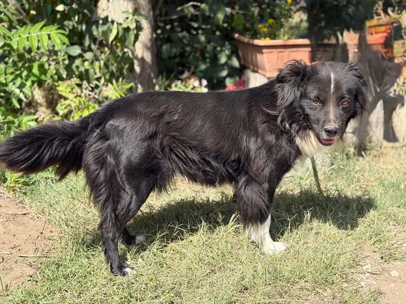 Luna - Sie braucht deine Liebe