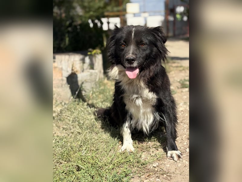 Luna - Sie braucht deine Liebe