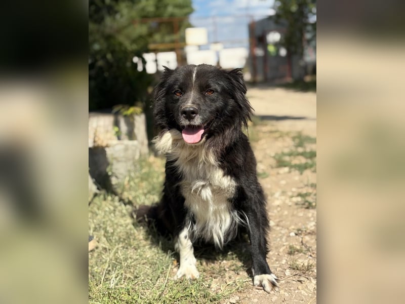 Luna - Sie braucht deine Liebe