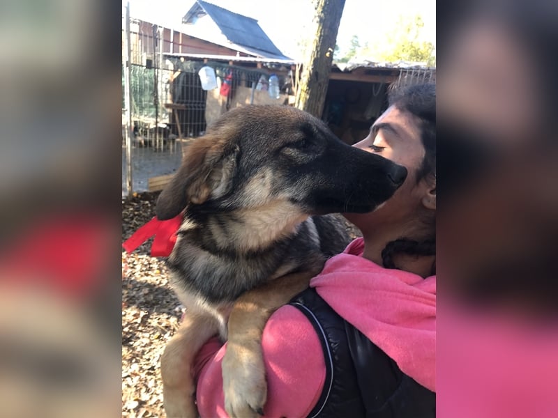 Kleine NELLY sucht ihr zuhause