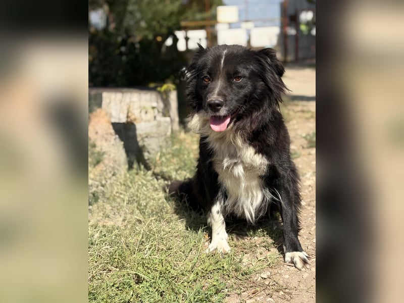 Luna - Sie braucht deine Liebe