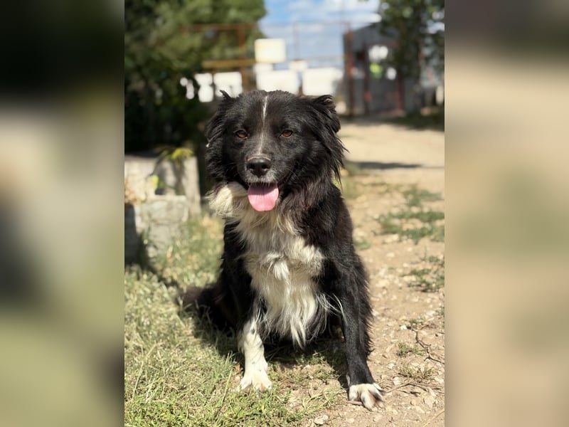 Luna - Sie braucht deine Liebe