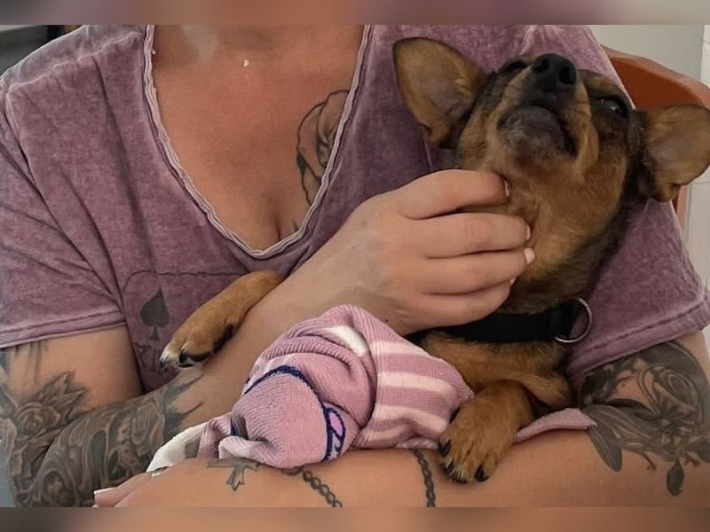 Doreen sucht Geborgenheit…. Vielleicht bei Dir?