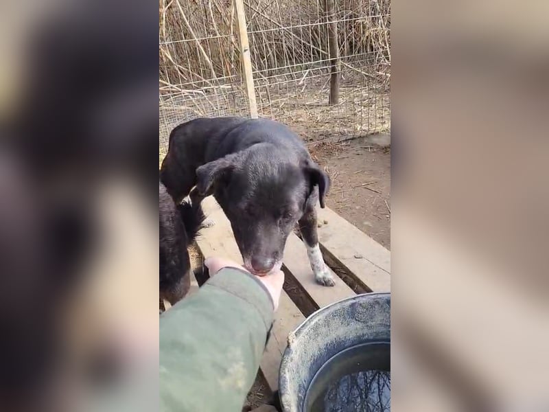 Malin hat ihr Zuhause verloren und sucht Geborgenheit