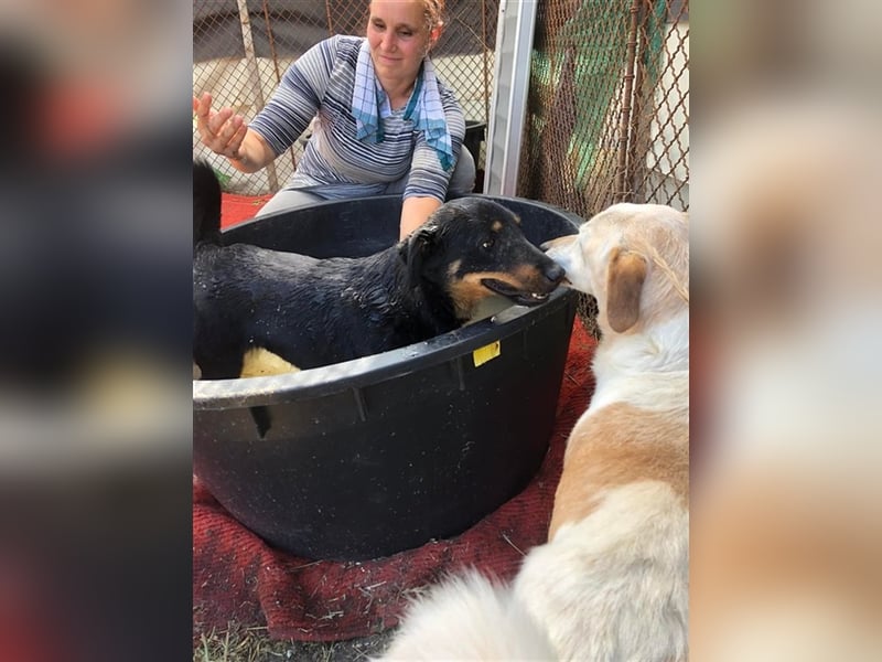 MAILA, sucht Menschen mit Herz (mit Videos!)