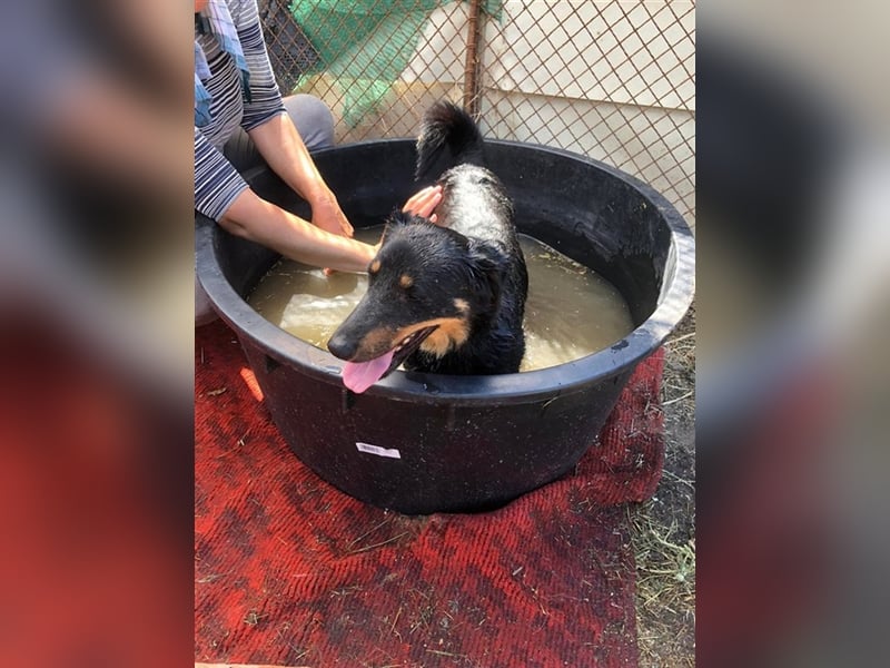 MAILA, sucht Menschen mit Herz (mit Videos!)