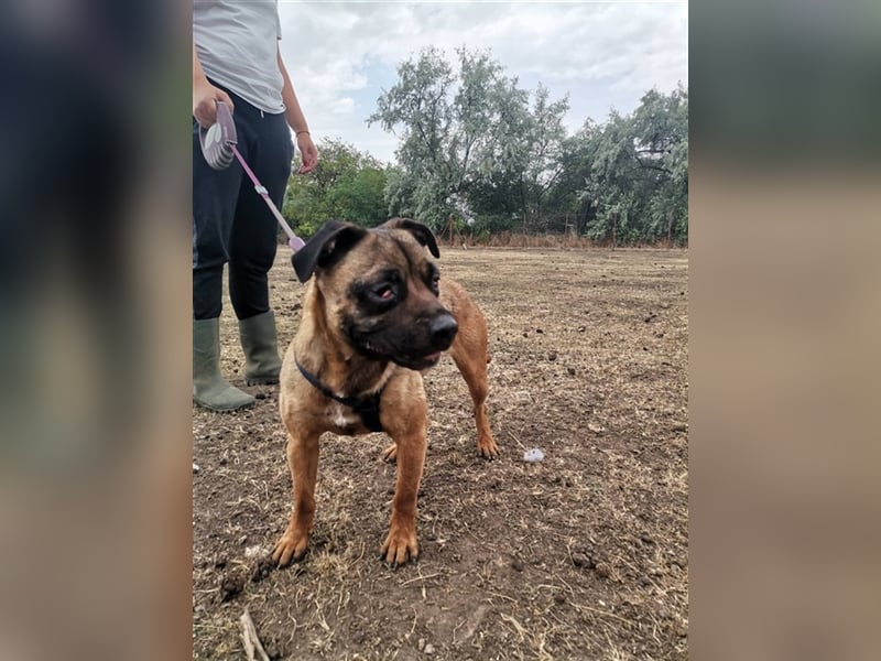 Tracy – arme Maus aus schlechter Haltung sucht liebes Zuhause