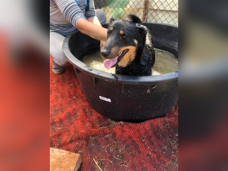 MAILA, sucht Menschen mit Herz (mit Videos!)