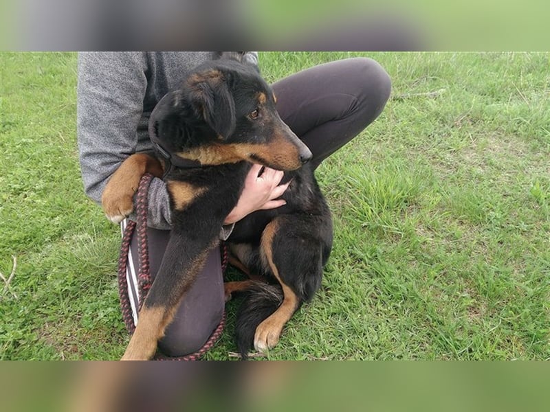 MAILA, sucht Menschen mit Herz (mit Videos!)
