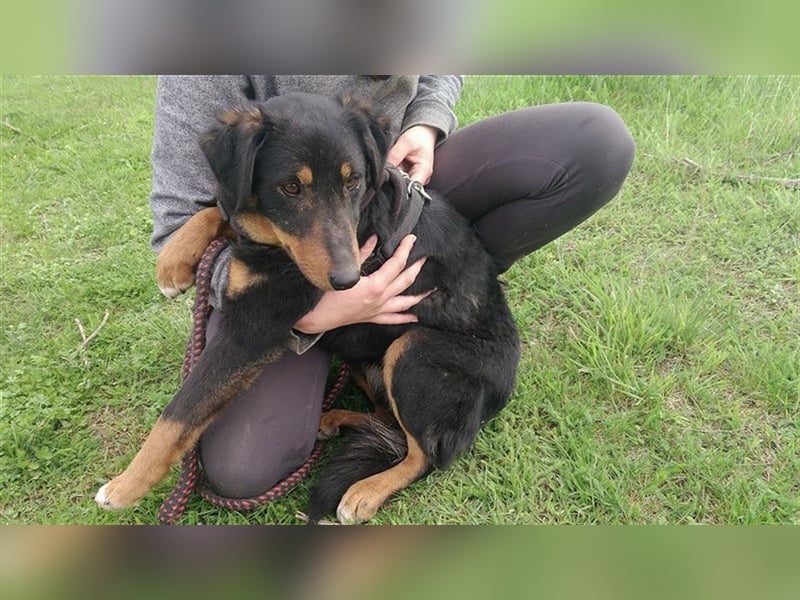 MAILA, sucht Menschen mit Herz (mit Videos!)