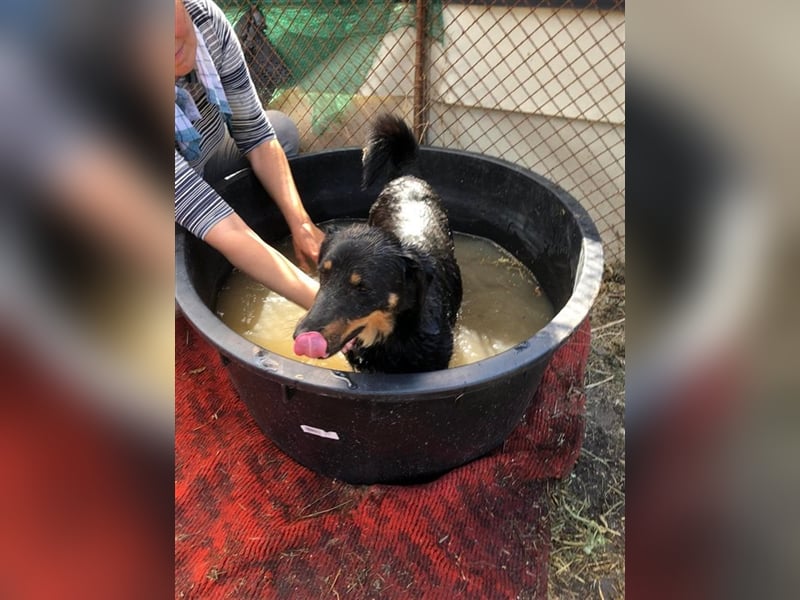 MAILA, sucht Menschen mit Herz (mit Videos!)