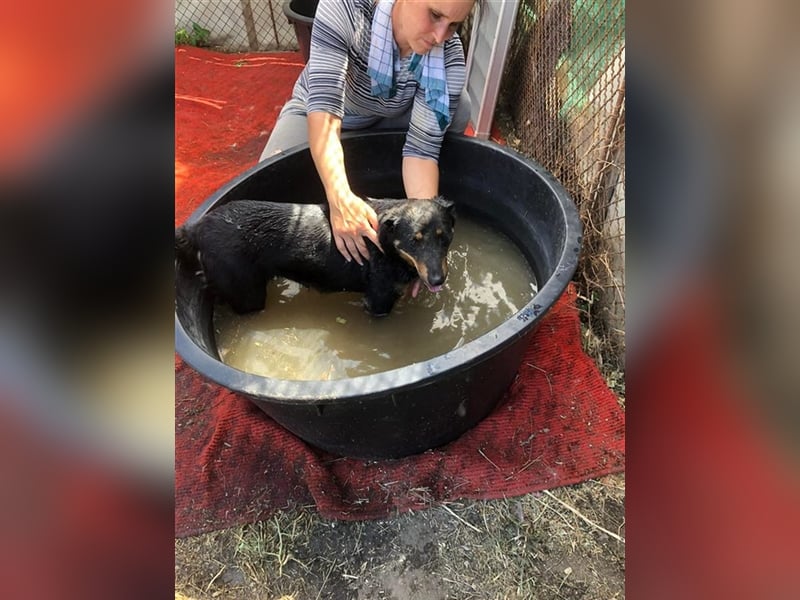 MAILA, sucht Menschen mit Herz (mit Videos!)