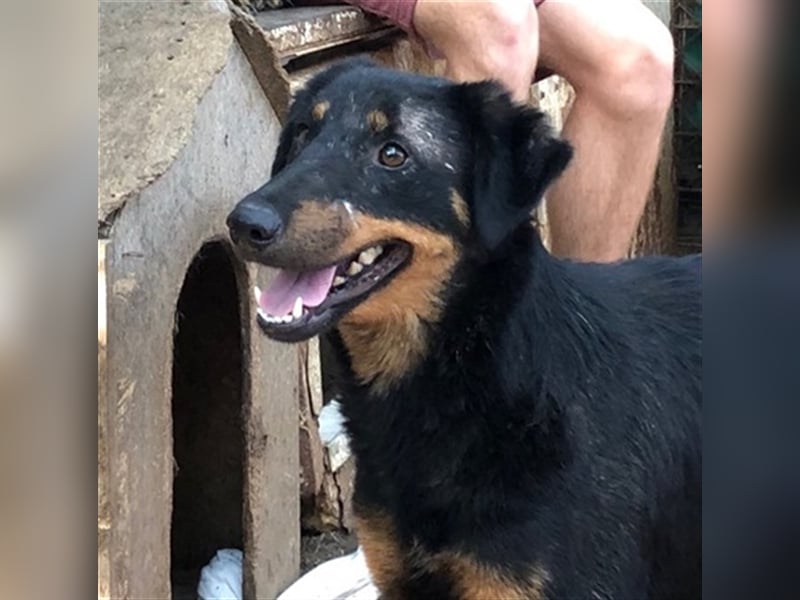 MAILA, sucht Menschen mit Herz (mit Videos!)
