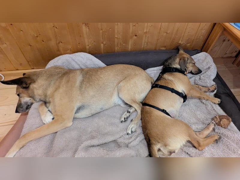 Hope LM - Zarte Kämpferin auf dem Weg ins Leben