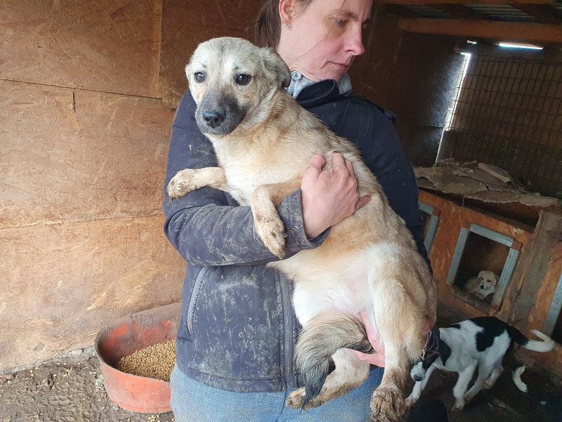 ♥BRENDA♥ ganz süße, noch etwas schüchterne Juniorin 39 cm (noch etwas wachsend)