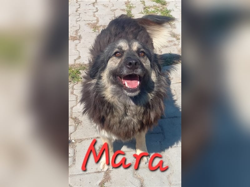 Ist sie nicht schön - unsere MARA