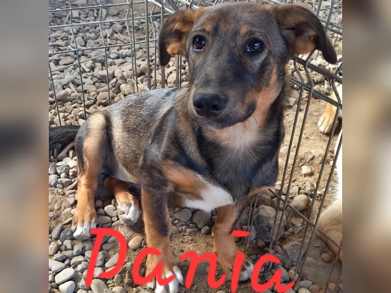 Unsere liebe Dania