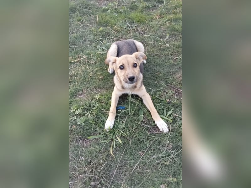 Unsere schöne Nikita