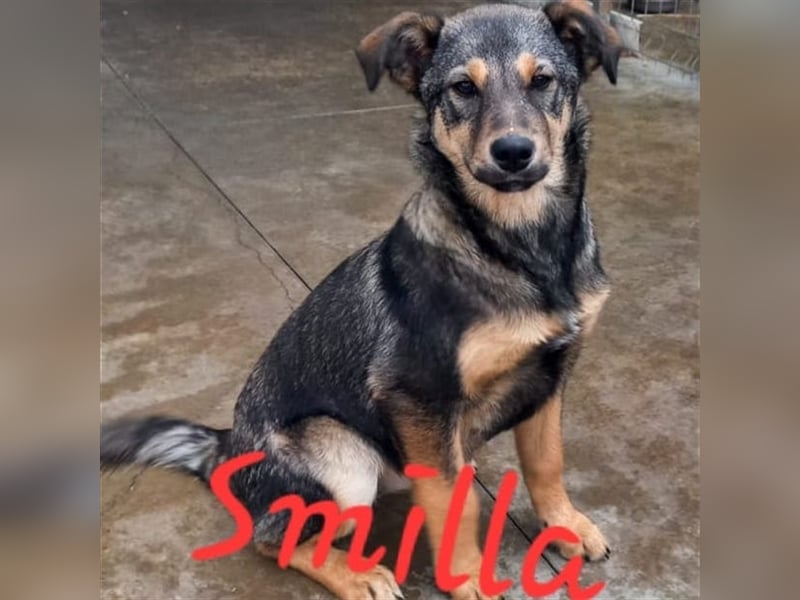 Unsere liebe Smilla