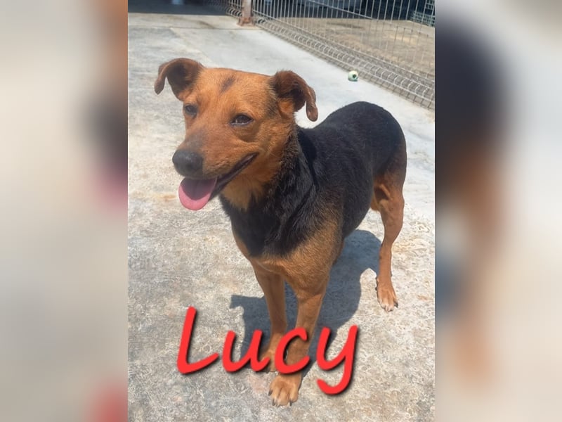 Unser süße Lucy