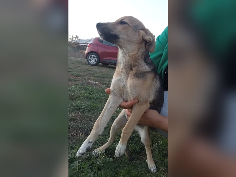 Unsere schöne Nikita