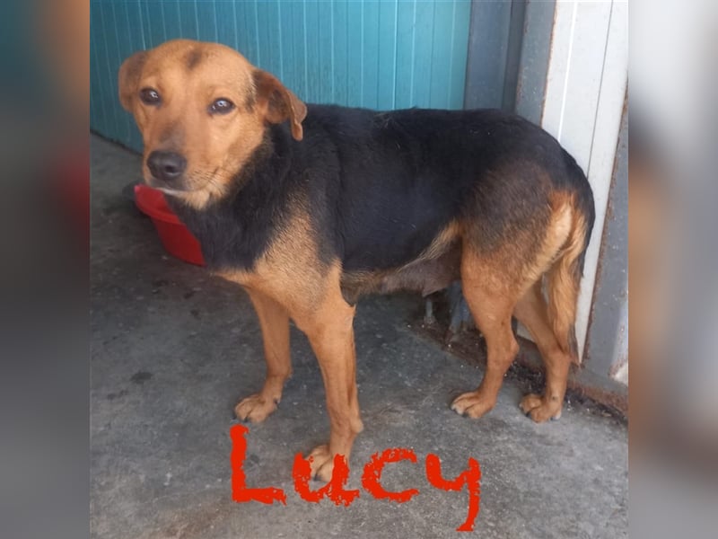 Unser süße Lucy