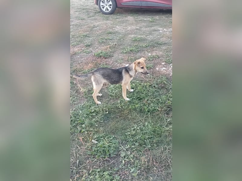 Unsere schöne Nikita