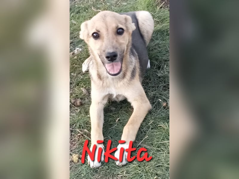 Unsere schöne Nikita