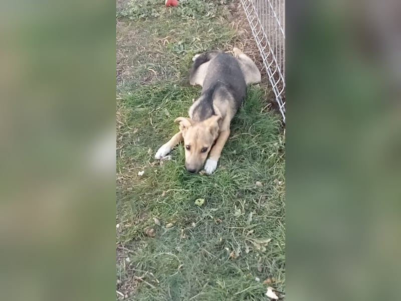 Unsere schöne Nikita