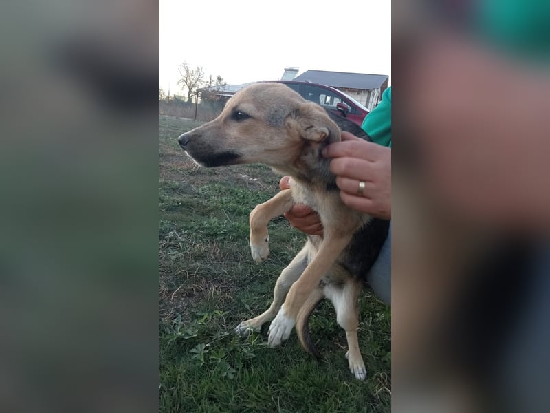 Unsere schöne Nikita