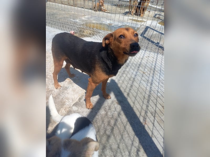 Unser süße Lucy