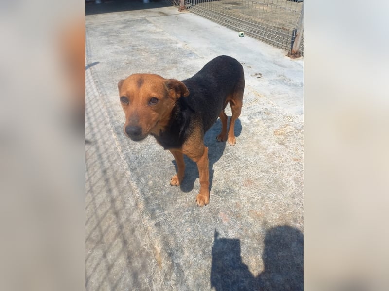 Unser süße Lucy