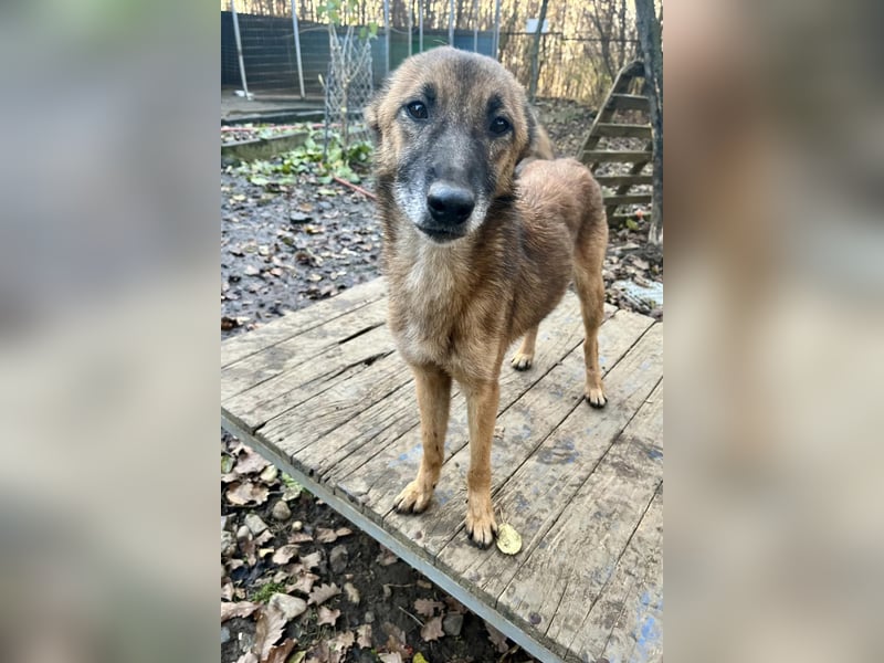 Zauberhafte ENYA ist verspielt und freundlich