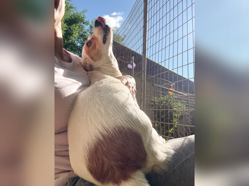 Zuckersüße GABRIELLA - wer schenkt ihr ein Zuhause?