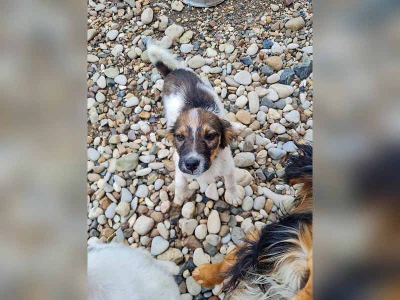 Zuckersüße und charmante JULIANA ist verspielt und neugierig