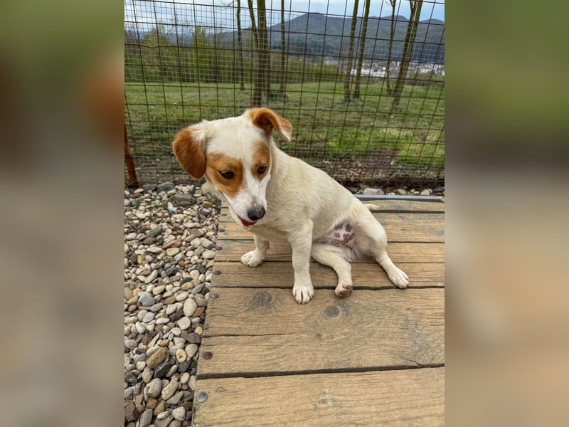 Niedliche GABRIELLA liebt Kuscheln und ist neugierig auf die Welt