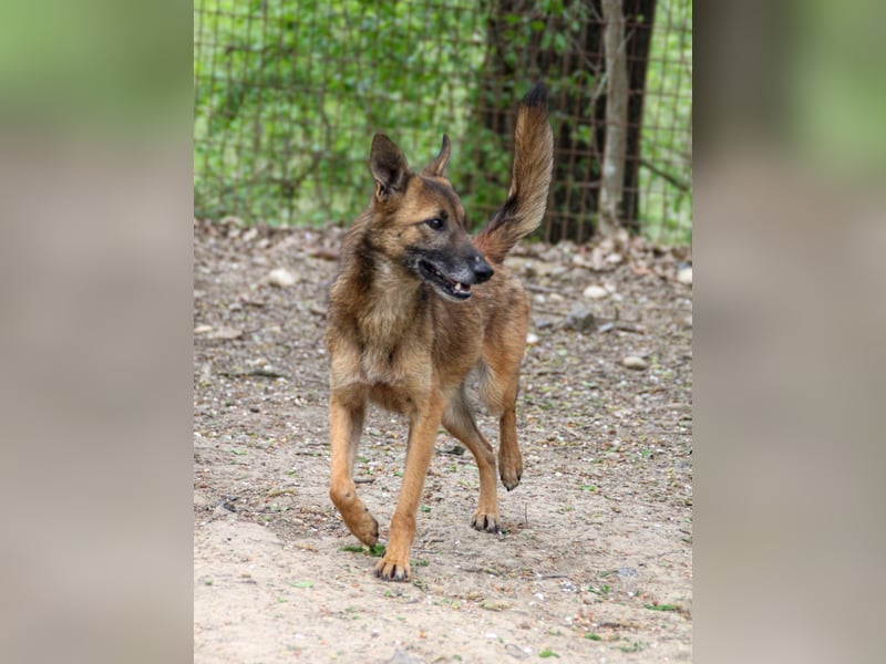 Zauberhafte ENYA ist verspielt und freundlich