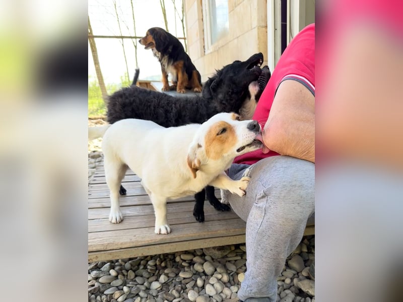 Verspielte GABRIELLA sucht Kuschelpartner fürs Leben