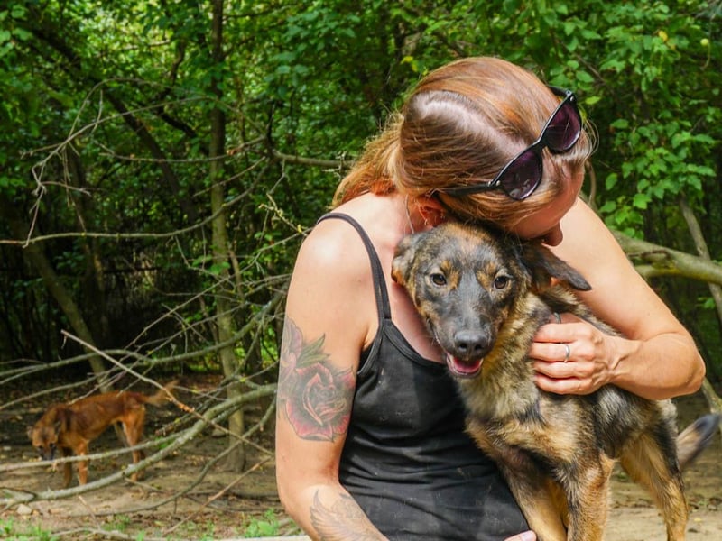 supersüße WELLA - eine perfekte Fellnase auf vier Pfoten