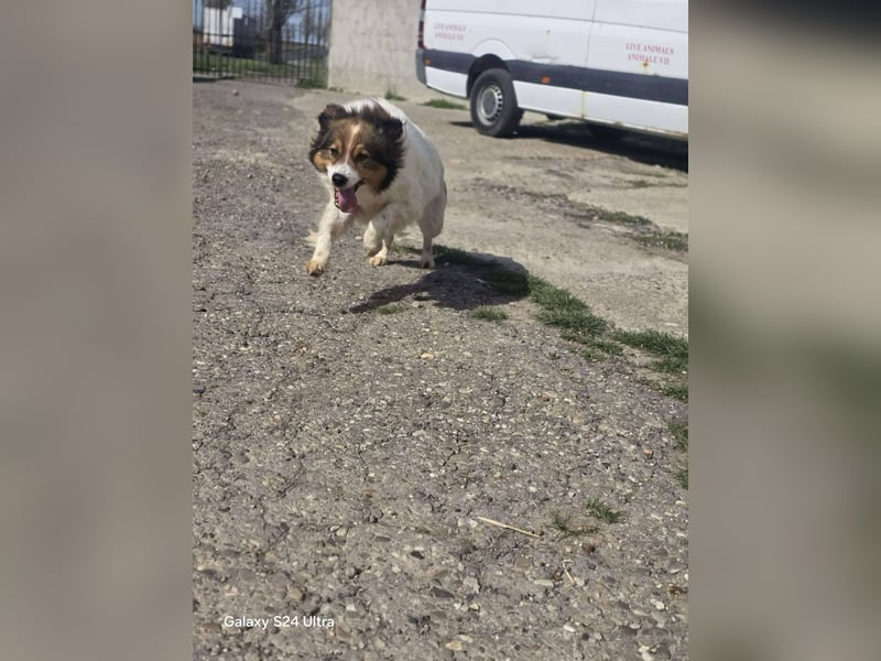 Maggy wartet schon so lange